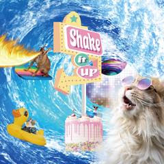 Album「Shake it up」